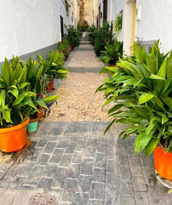 Apartmán Mi Rincon Favorito Cogollos De La Vega Exteriér fotografie